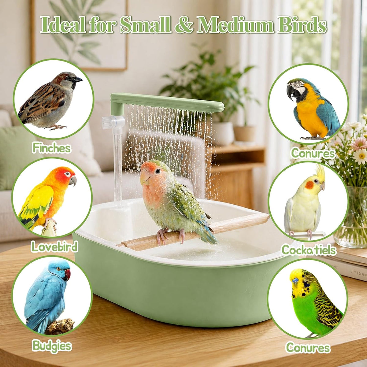Automatic Parrot Bird Bath for Cage, Parakeet Bath Shower with Pump