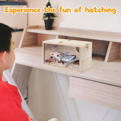 Natural Wood Nesting Box for Parakeet Birds Transparent Design Breeding Box with Perch Wood Bird Cage House for Cockatiel Lovebirds Budgie Finch Parrotlets Canary (Large)