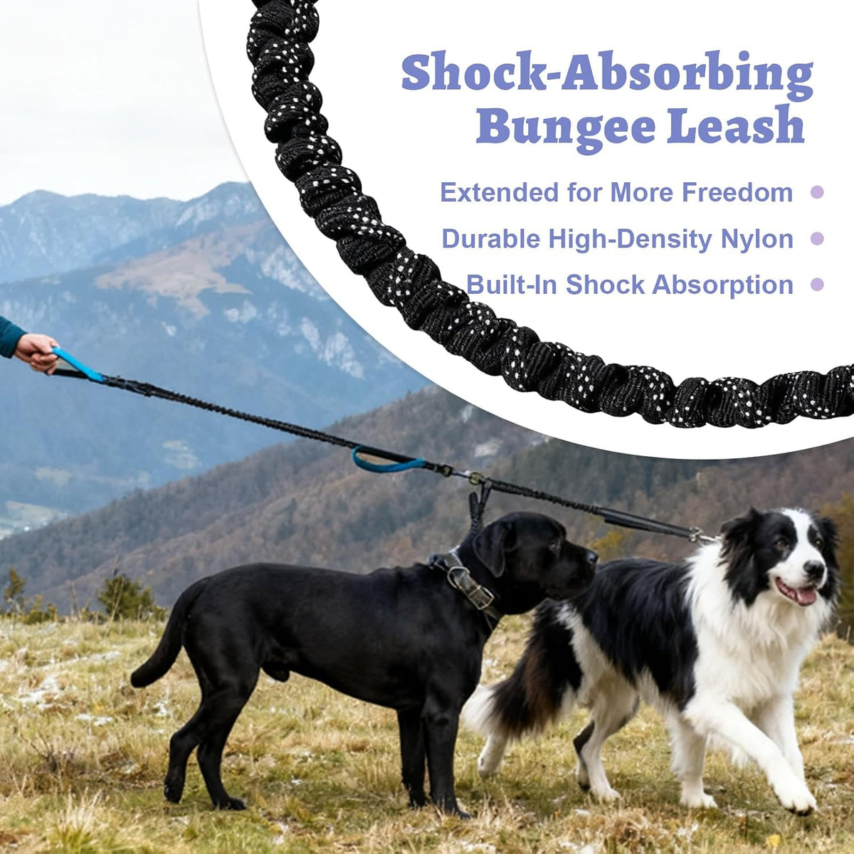 Hands Free Double Dog Leash for Two Dogs- No Tangle No Pull Dual Leash with Padded Adjustable Waist Belt & Reflective Stitching - Ideal for Running, Jogging, Hiking with Medium & Large Breeds