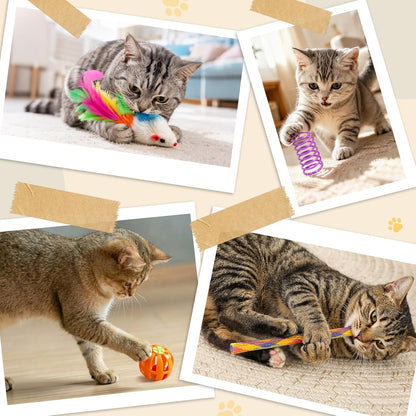 25 Pcs Cat Toys Set, Cat Tunnel Toy for Indoor Cats, Kittens