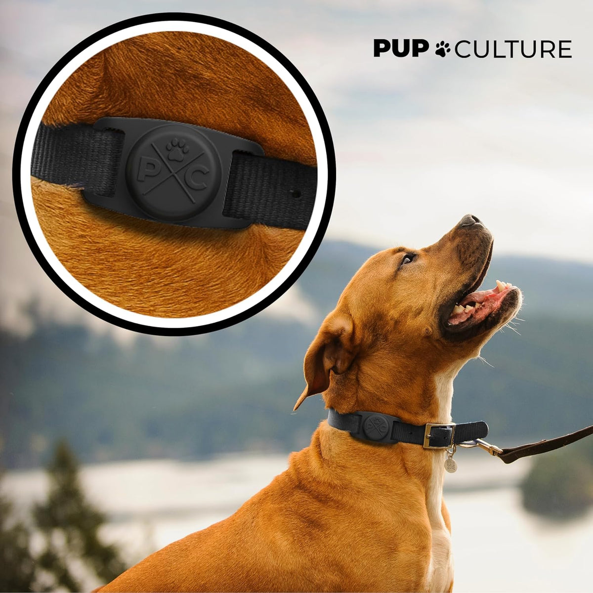 Airtag Pet Collar Holder, Durable Protective Case for Apple Airtag GPS Tracking for Dogs and Cats