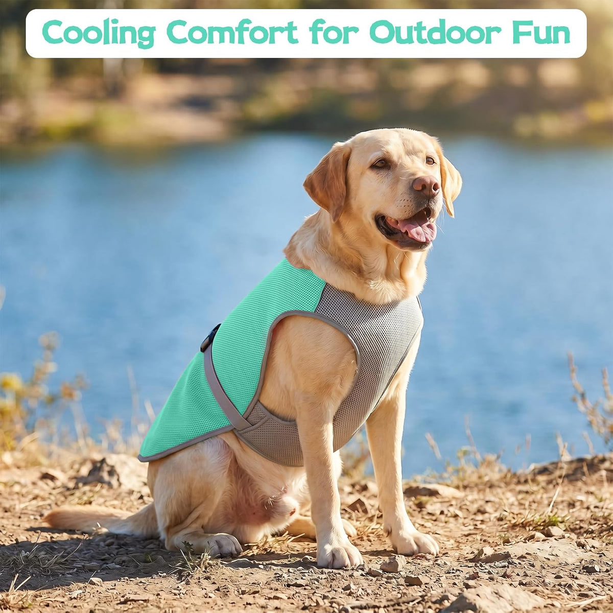 Cooling Vest for Dogs Summer Hiking, Mesh Cooling Apparel for Doggies Walking, Reflective Trim Dog Vest for Hot Weather with Buckle and Adjustable Fit, Green, XXL