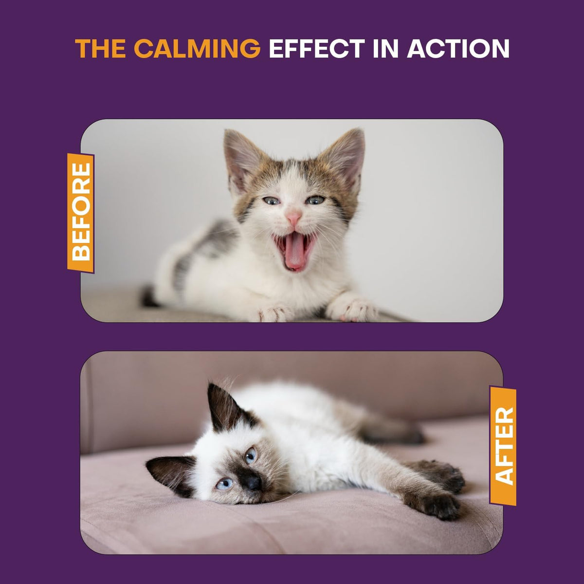 Cat Calming Diffuser Kit 2 Plug-In Diffusers & 3 Refills, Advanced Cat Pheromone Diffuser for Anxiety Relief Spraying, Scratching, Aggression & Fighting, Long-Lasting Solution for All Cats