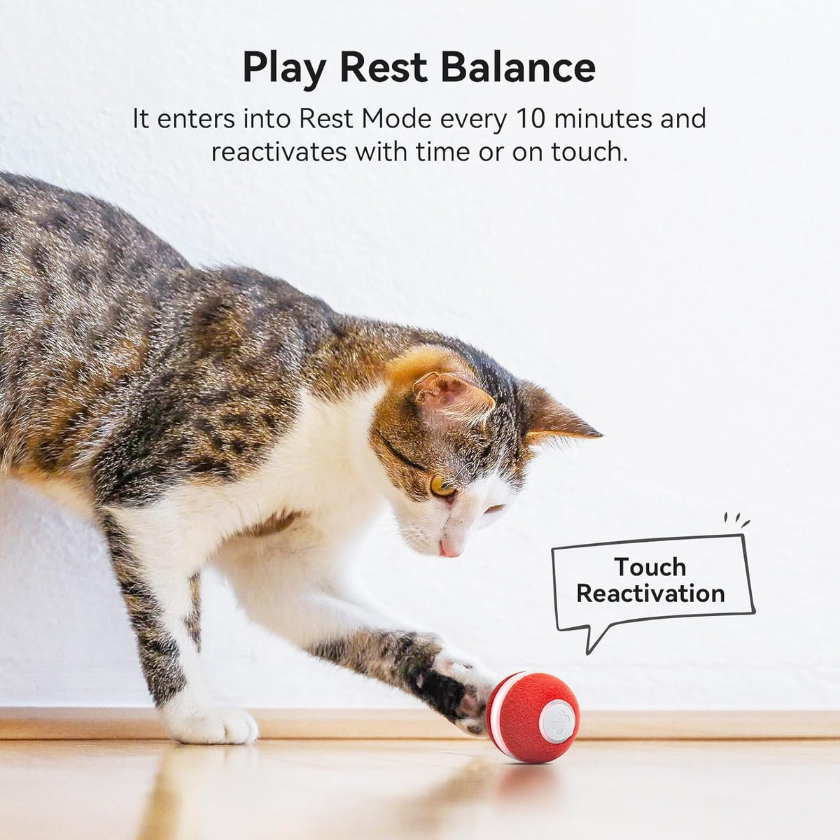 Interactive Cat Ball Toy, Automatic Moving Ball Toy for Indoor Cat Kitten, Electric Pet Toy Fun Gift with Light