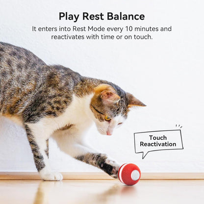 Interactive Cat Ball Toy, Automatic Moving Ball Toy for Indoor Cat Kitten, Electric Pet Toy Fun Gift with Light