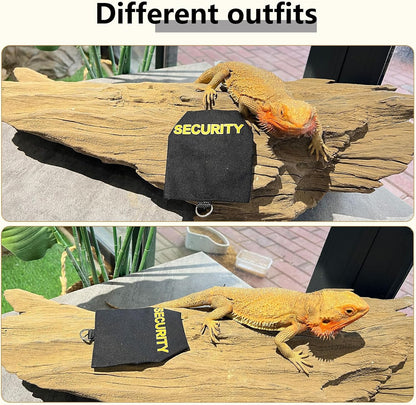 Bearded Dragon Carrier Backpack with Security Printing Harness Leash Set, Reptile Lizard Space Capsule Astronaut Clear Bubble Window Travel Carrier for Small Animal Guinea Pig(Black, Security Harness)