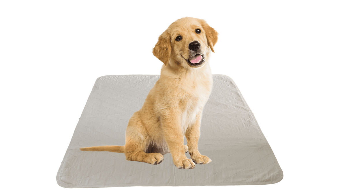 4 Pack Puppy Training Washable Pee Pad - Whelping Absorbent Reusable Pads Carpet/Seat Protection
