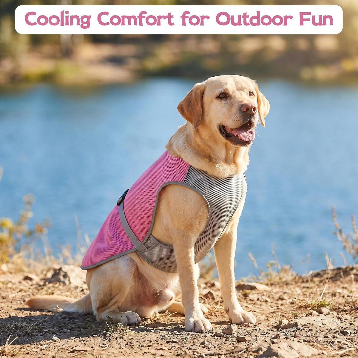Cooling Dog Vest for Hiking, Mesh Cooling Jacket for Puppy Outdoor Play, Buckle Closure Cooler Dogs Vest with Easy on off Design, Pink, L