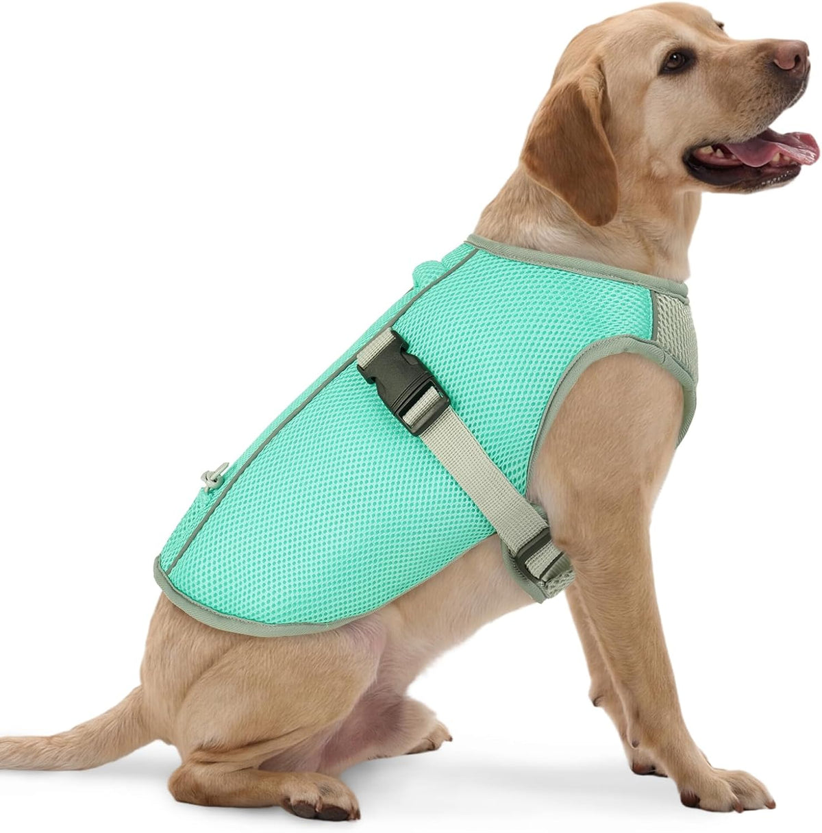 Cooling Vest for Dogs Summer Hiking, Mesh Cooling Apparel for Doggies Walking, Reflective Trim Dog Vest for Hot Weather with Buckle and Adjustable Fit, Green, XXL