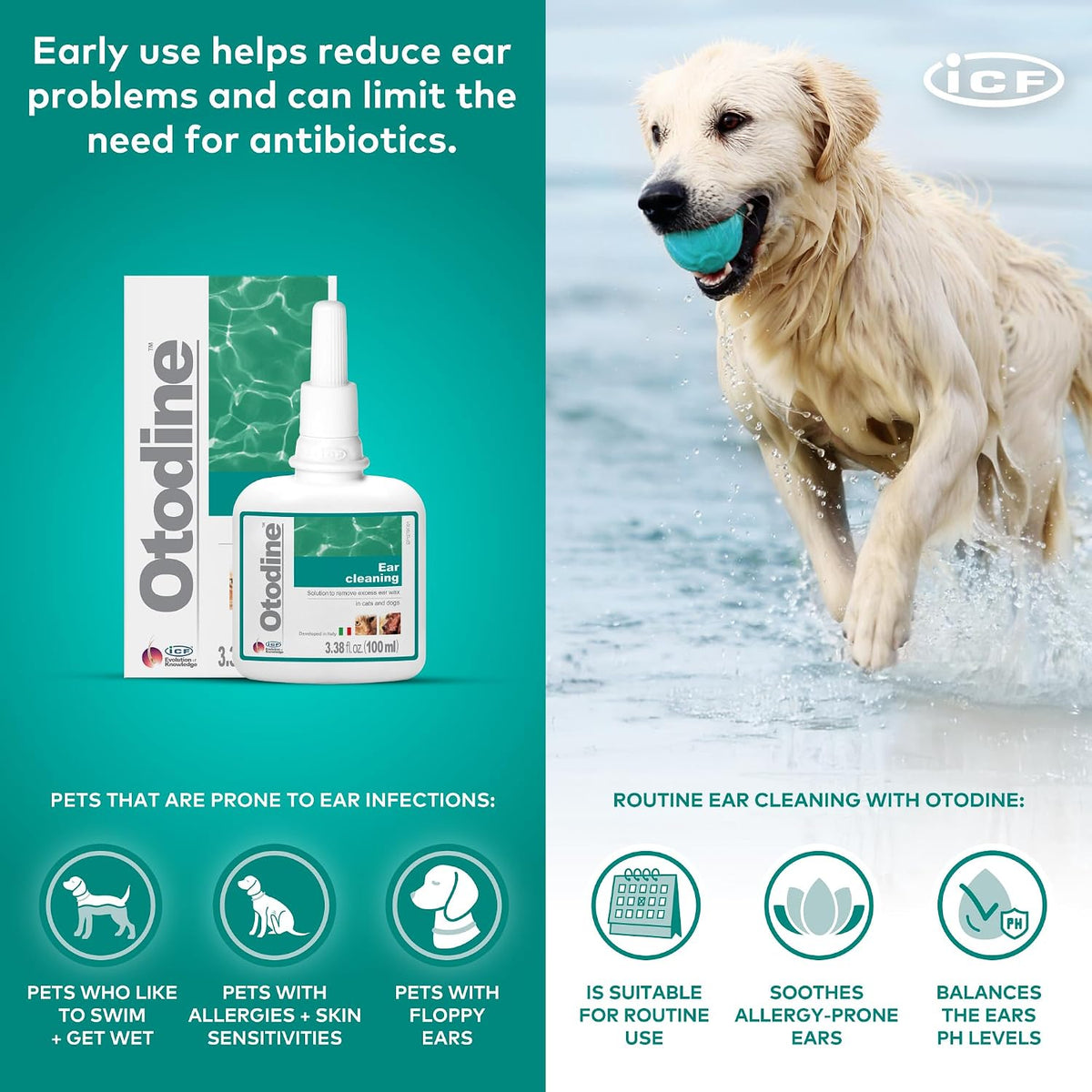 Otodine Dog Ear Cleaner Solution Drops for Itchy Ears, Infections, Head Shaking, Scratching, Wax, Debris & Odor - Tris-Edta Flush - Gentle & Safe for Cats & Puppies - 100Ml
