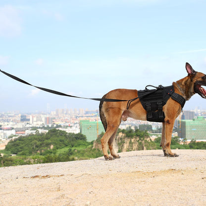 Relfective Dog Leash for Medium Large Dogs,No-Bungee Design,6Ft