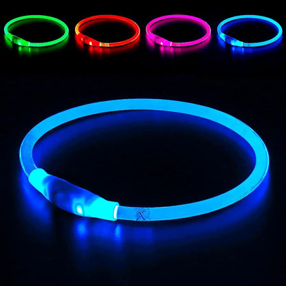 Light up Dog Collar,  USB Rechargeable Led Flash Dog Necklace