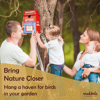 Outdoor Mailbox Birdhouse – Resin Weather-Resistant Wild Bird House