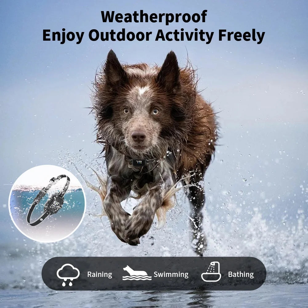 Anti-Bark Collar for Small Dogs, No Shock anti Barking Collars with 7 Sensitivities, 3 Adjustable Modes Beep & Vibration, IP67 Waterproof - Effective & Humane Small Dogs Bark Collar-Black