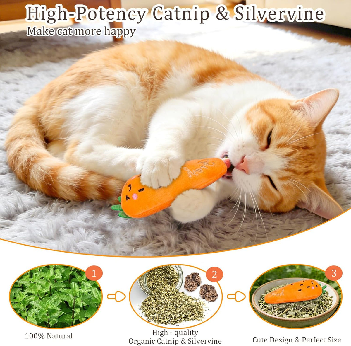 Catnip Cat Toys 5 Pack Vegetable Plush for Indoor Cats