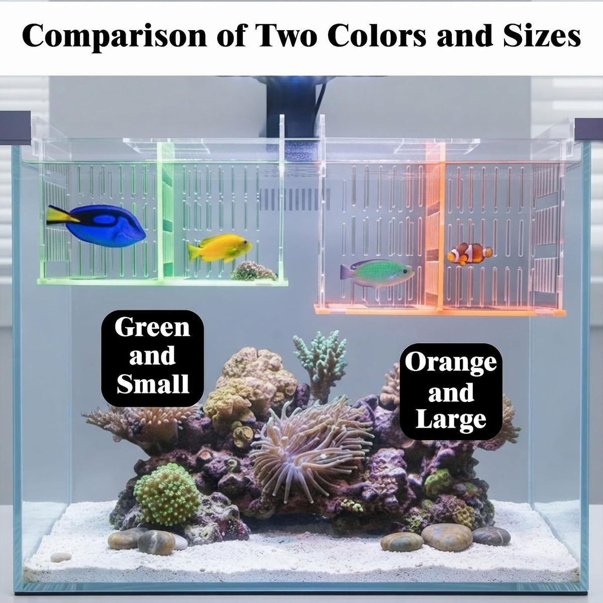 Acrylic Breeder Box for Fish Tank, Aquarium Isolation & Hatchery with Net