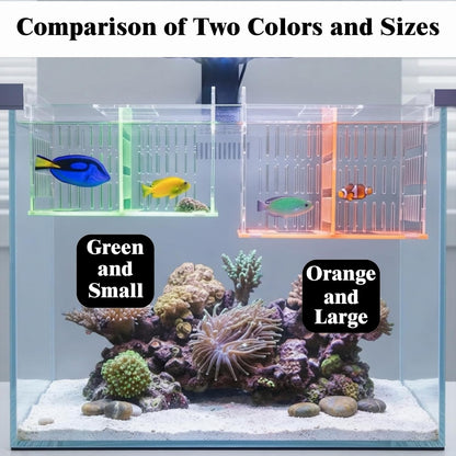 Acrylic Breeder Box for Fish Tank, Aquarium Isolation & Hatchery with Net
