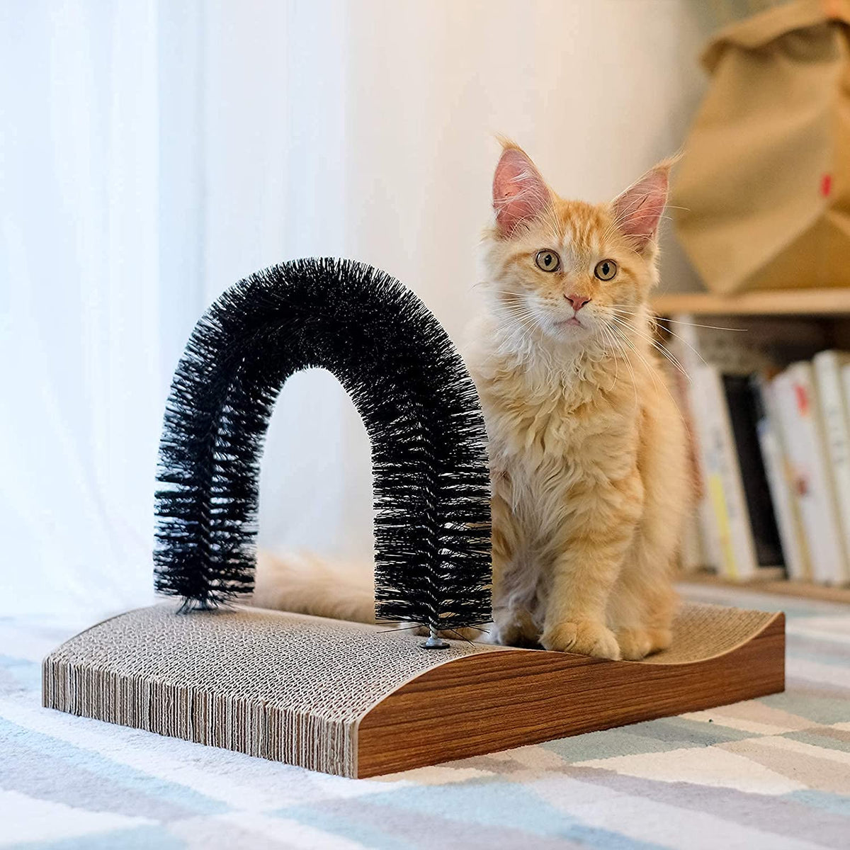 Cat Self Groomer 2.0 Version, Cat Arch Face Scratcher