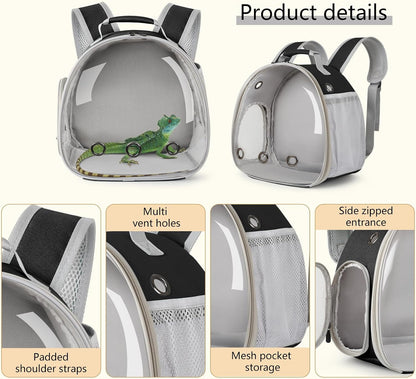 Bearded Dragon Carrier Backpack with Security Printing Harness Leash Set, Reptile Lizard Space Capsule Astronaut Clear Bubble Window Travel Carrier for Small Animal Guinea Pig(Black, Security Harness)