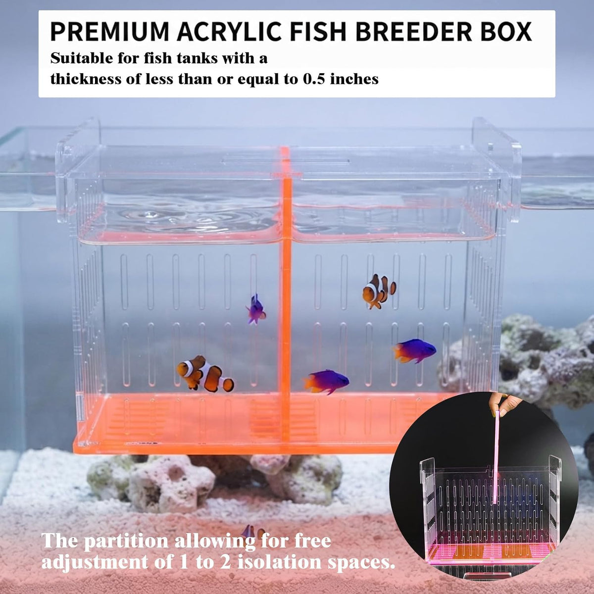Acrylic Breeder Box for Fish Tank, Aquarium Isolation & Hatchery with Net