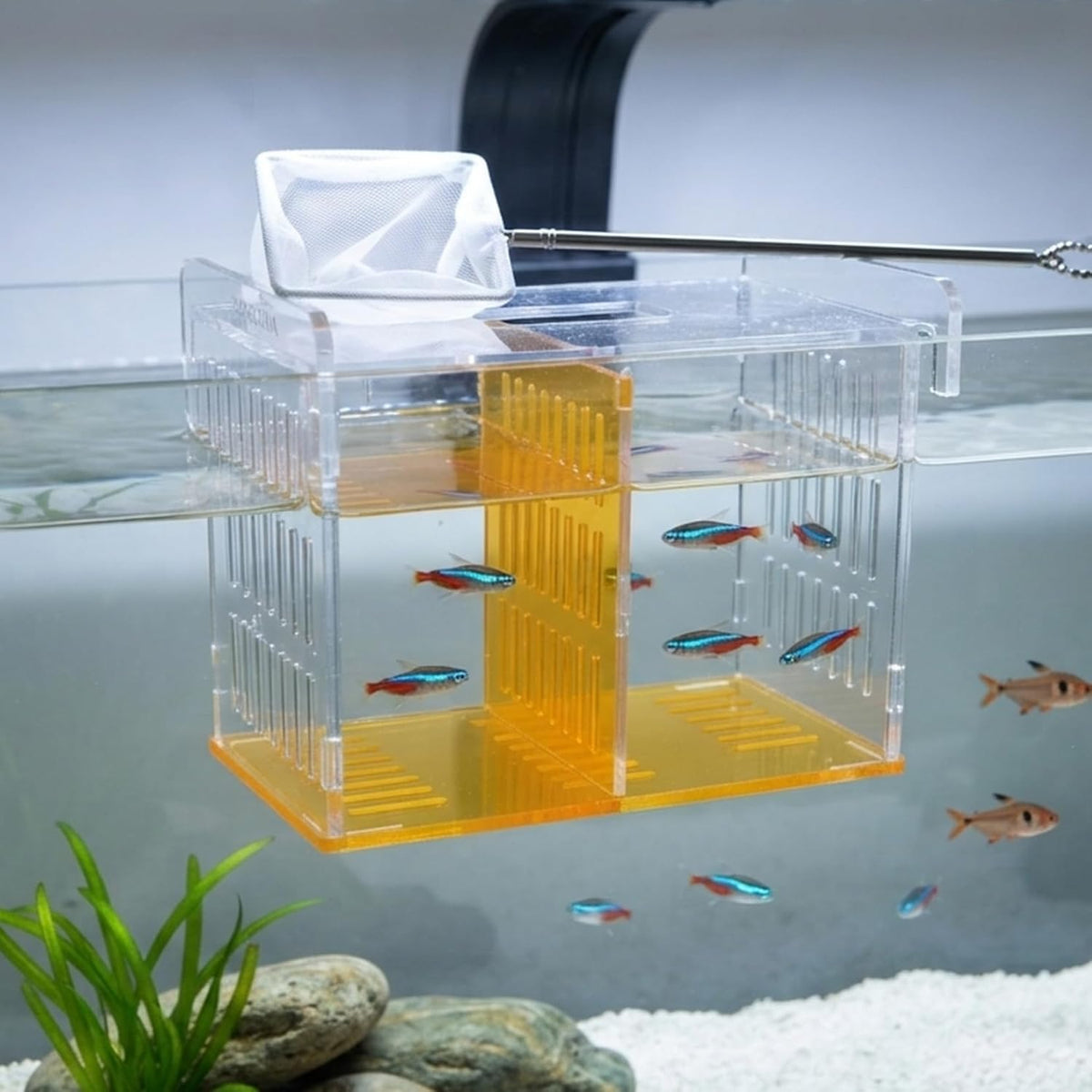 Acrylic Breeder Box for Fish Tank, Aquarium Isolation & Hatchery with Net