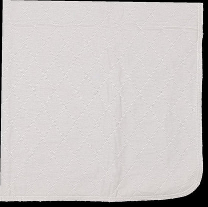 12 Pack Puppy Training Washable Pee Pad - Whelping Absorbent Reusable Pads Carpet/Seat Protection