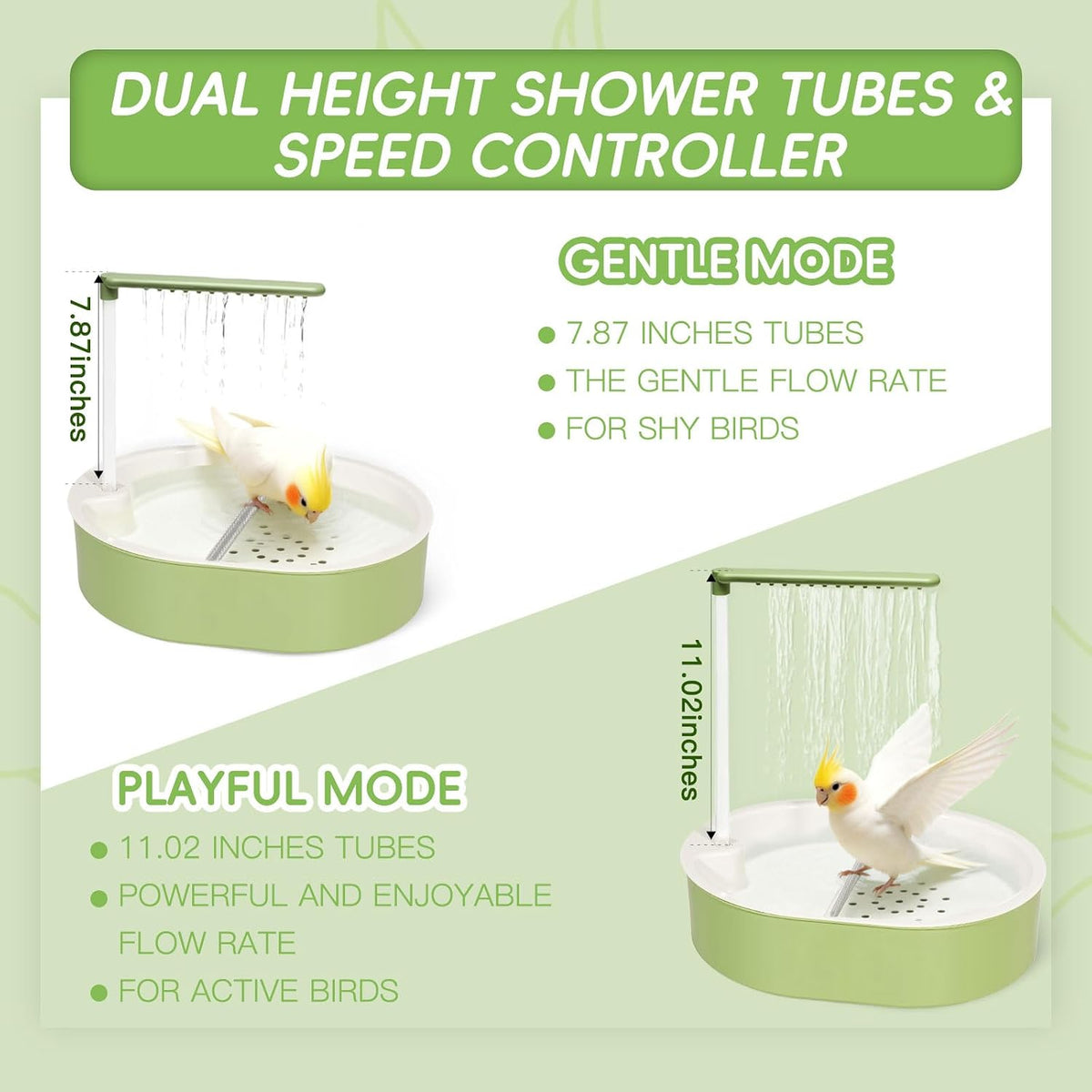 Parakeet Bird Bath - Parrot Shower for Budgie Cockatiel Lovebird and Conure