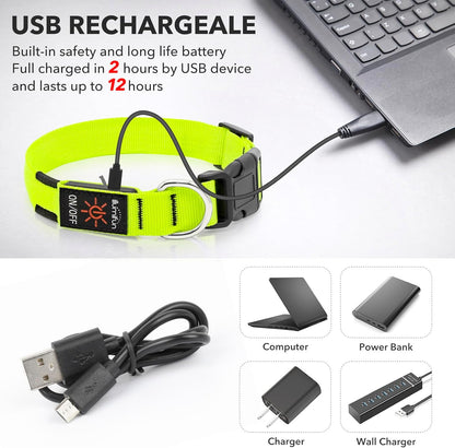 LED Dog Collar, Rechargeable Glow in the Dark Safety Collar for Night Walking